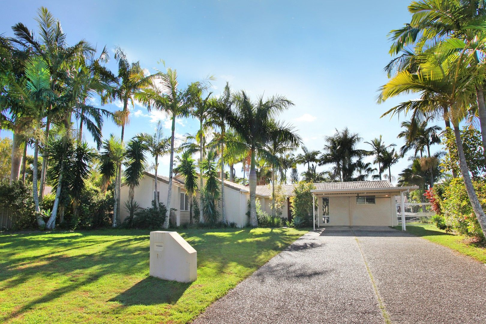 10 Kona Court, Mountain Creek QLD 4557 House For Rent 780 Domain