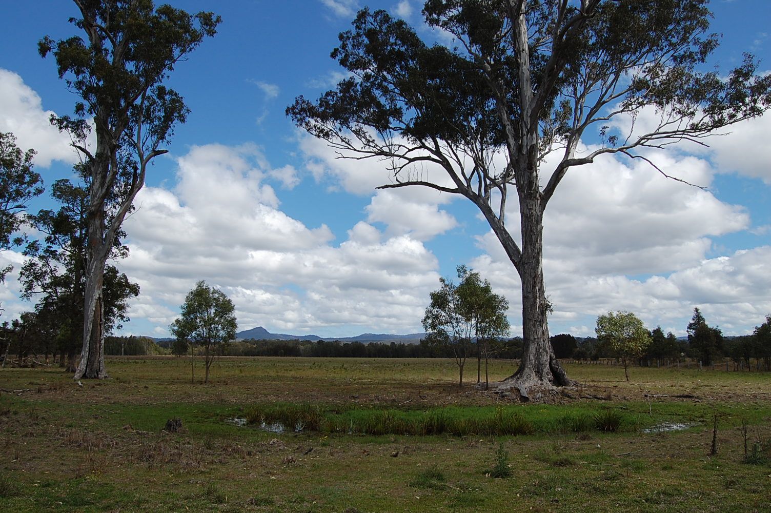 Six Mile, CAMIRA NSW 2469, Image 1