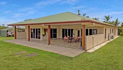 Picture of 537 Hallorans Road, MOUNT TOM QLD 4677