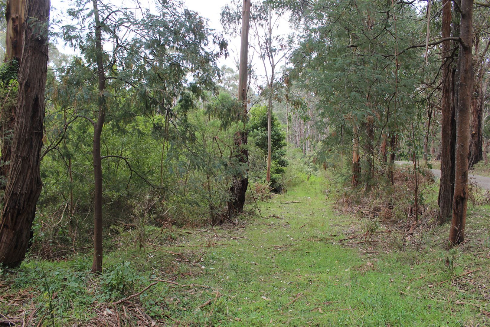 Lot 82B Albert River Welshpool Road, Binginwarri VIC 3966, Image 1