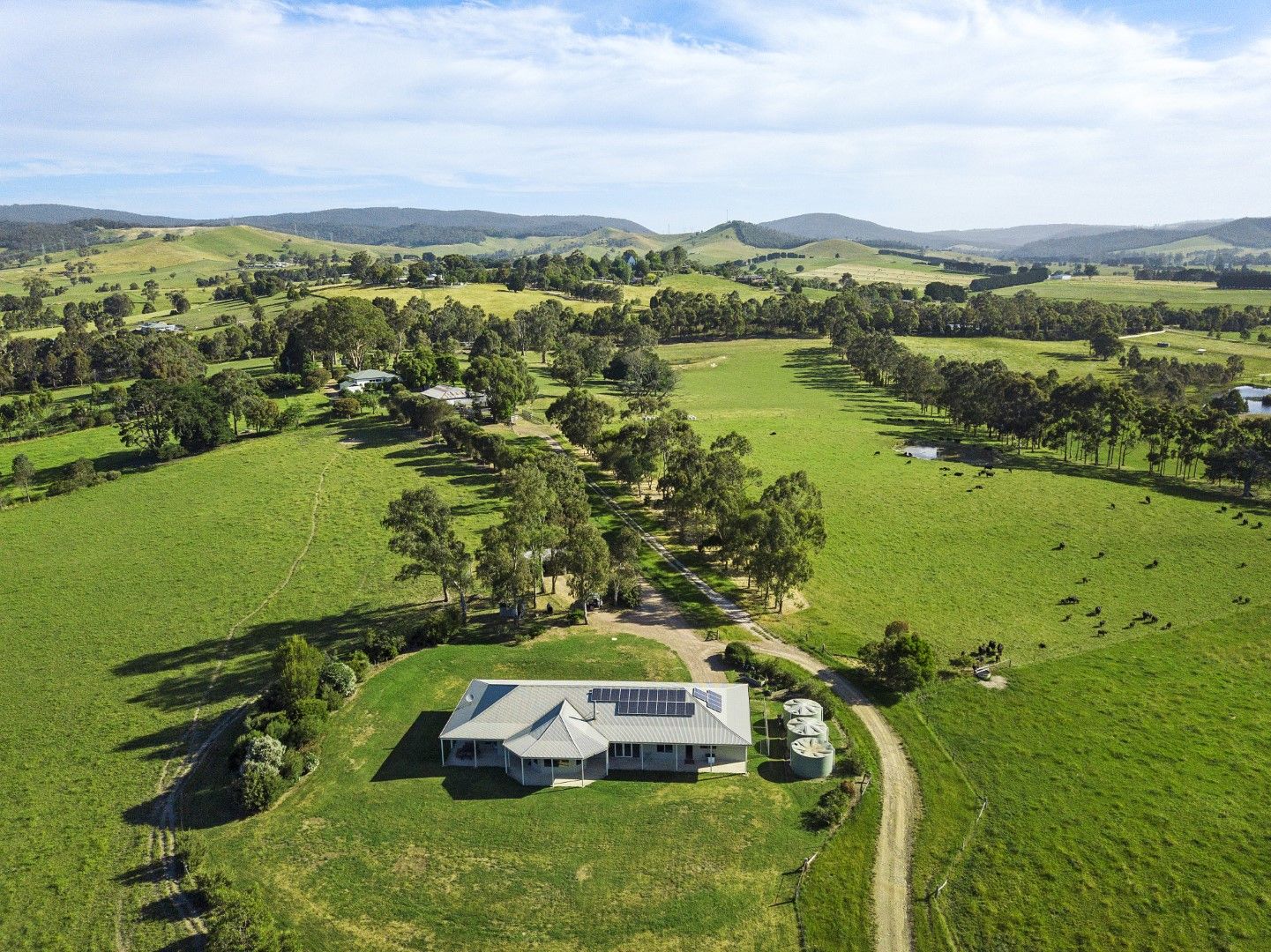 4013 Melba Highway, Glenburn VIC 3717, Image 2