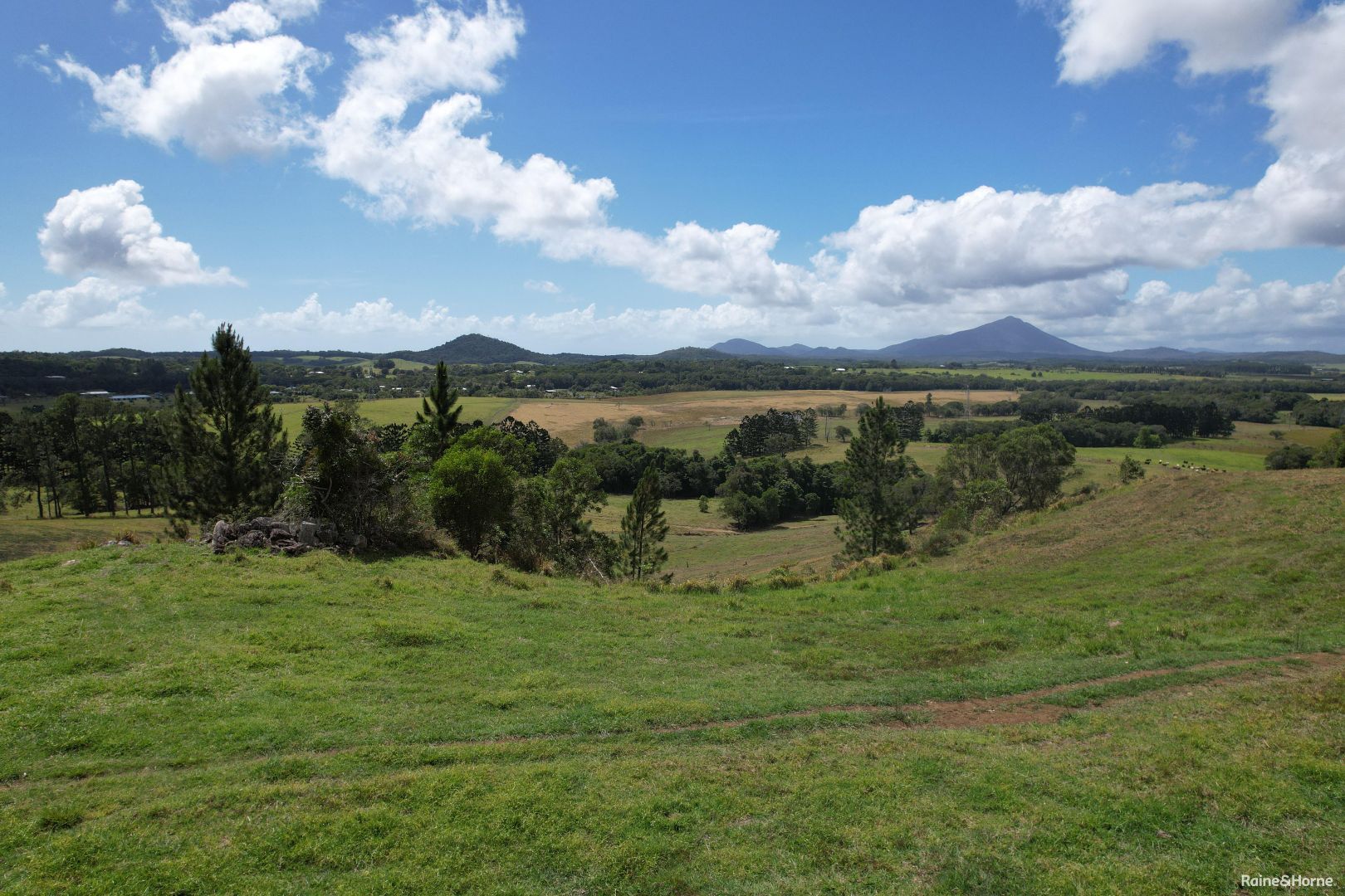 1297 Mossman Mt Molloy Road, Julatten QLD 4871, Image 1