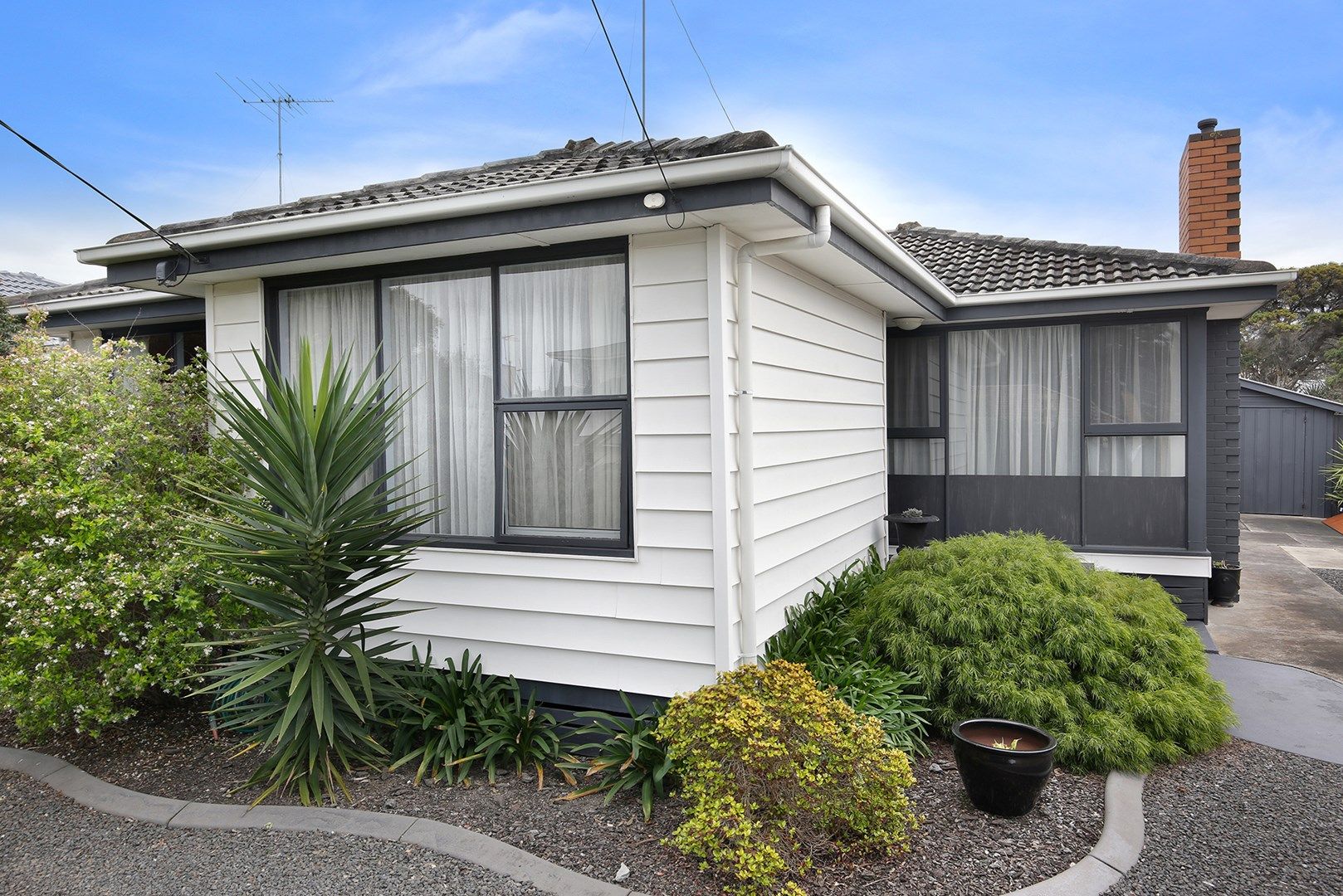 50 Nagle Drive, Belmont VIC 3216, Image 0