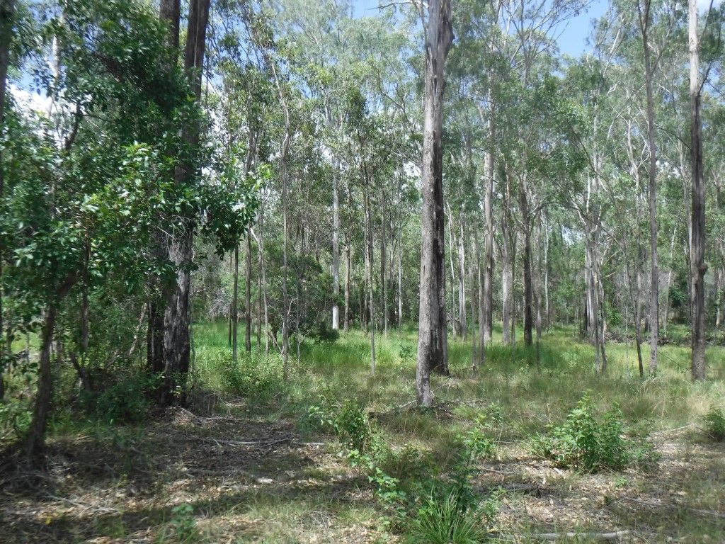 Bauple QLD 4650, Image 1