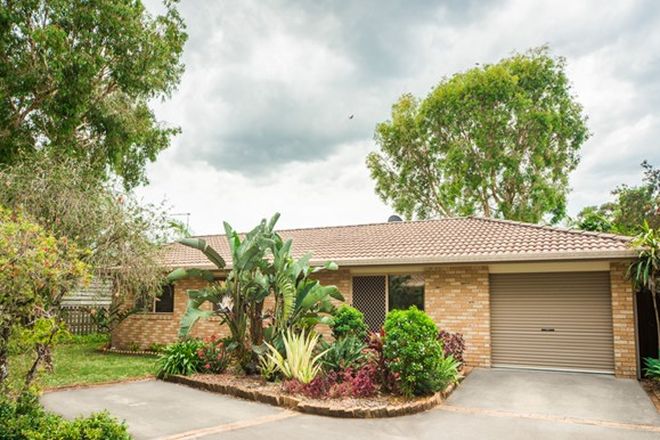 Picture of Unit 4/3-4 Cape Court, BYRON BAY NSW 2481