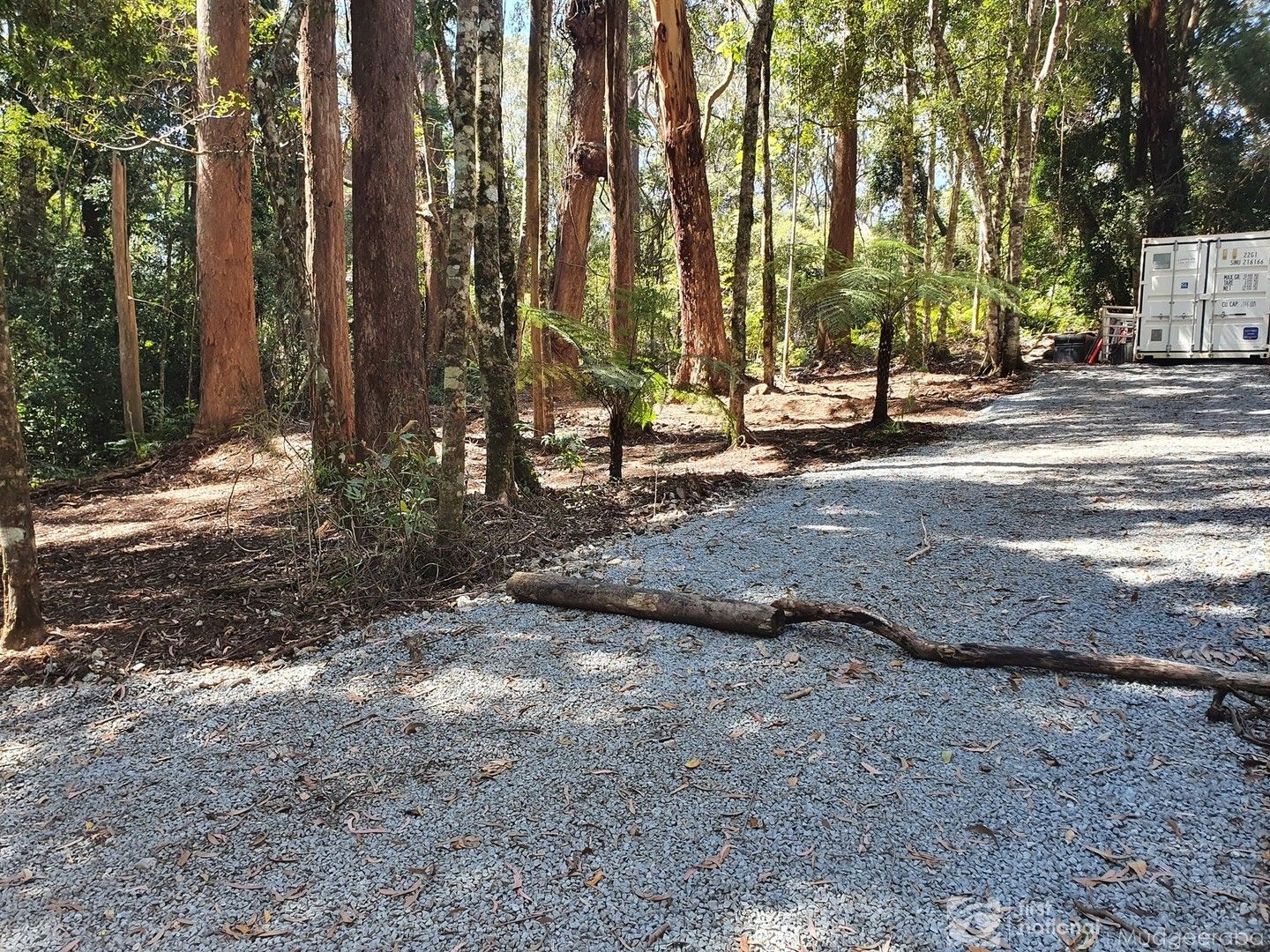 7 Wattle Grove, Springbrook QLD 4213, Image 0