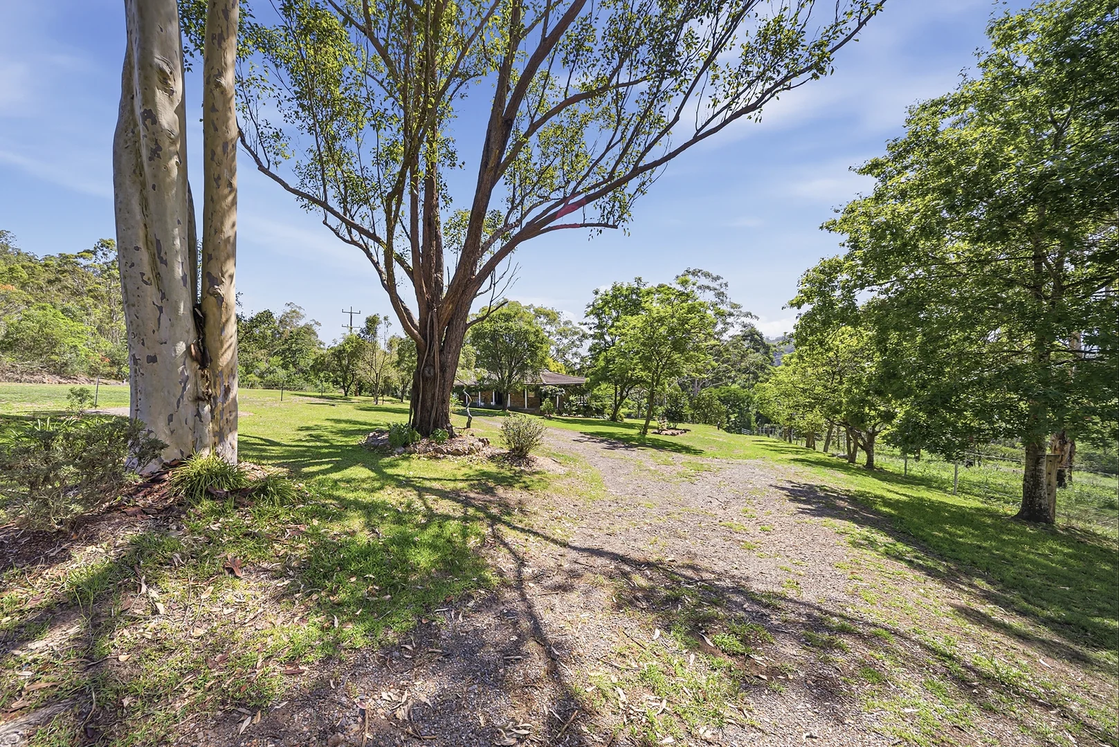 Additional image 5 of 207 Martins Creek Road, Paterson NSW 2421