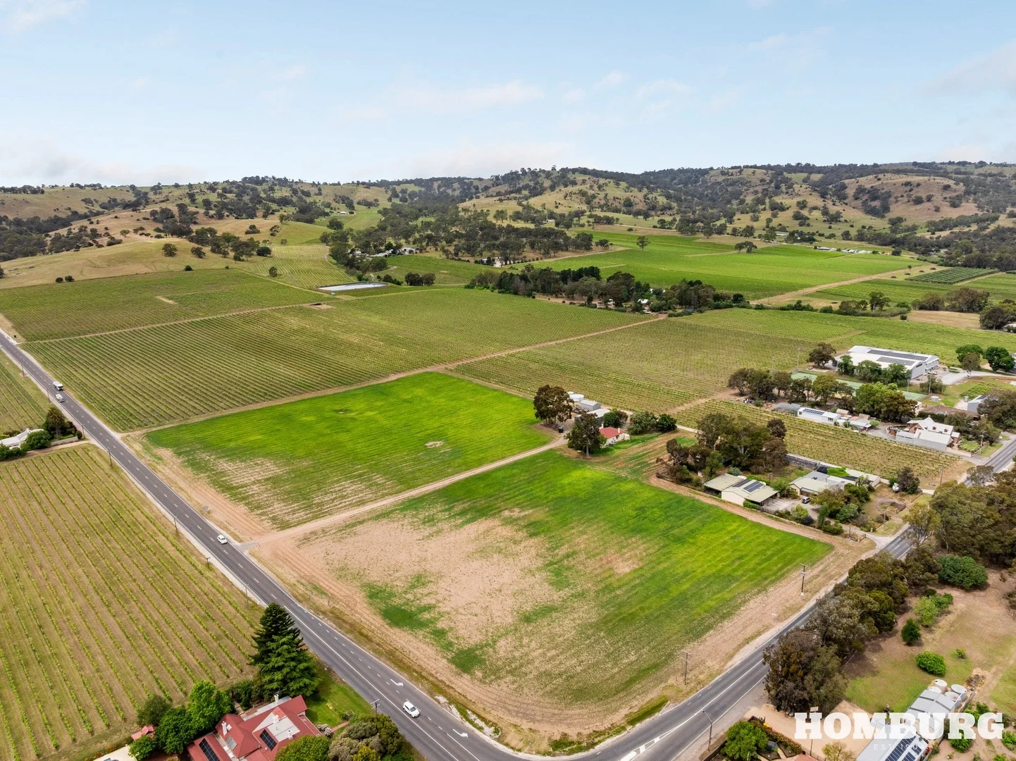 246 Vine Vale Road, Vine Vale SA 5352 - Rural Lifestyle Property for Sale