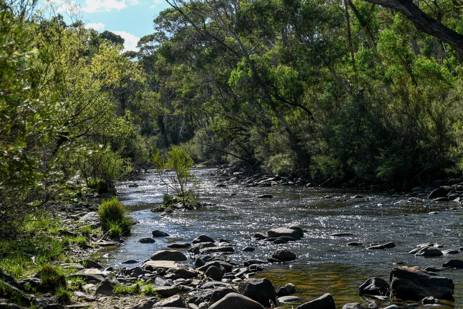 Image 23