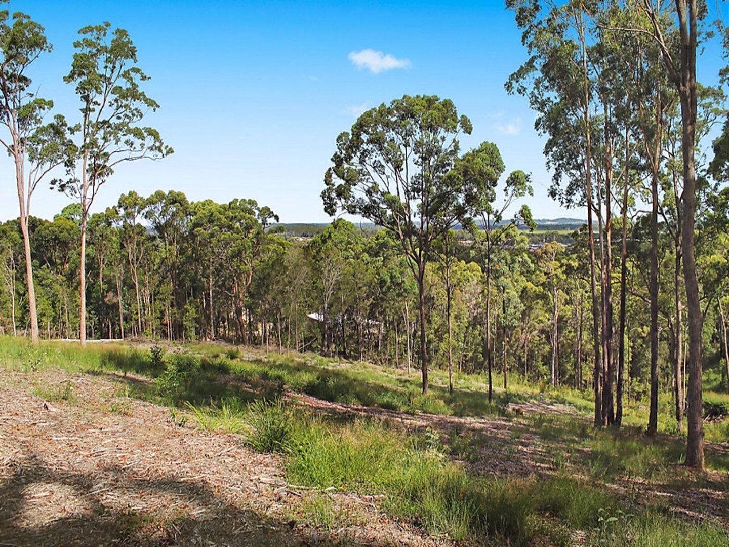 Lot 1/172-174 Tanawha Road, TANAWHA QLD 4556, Image 1