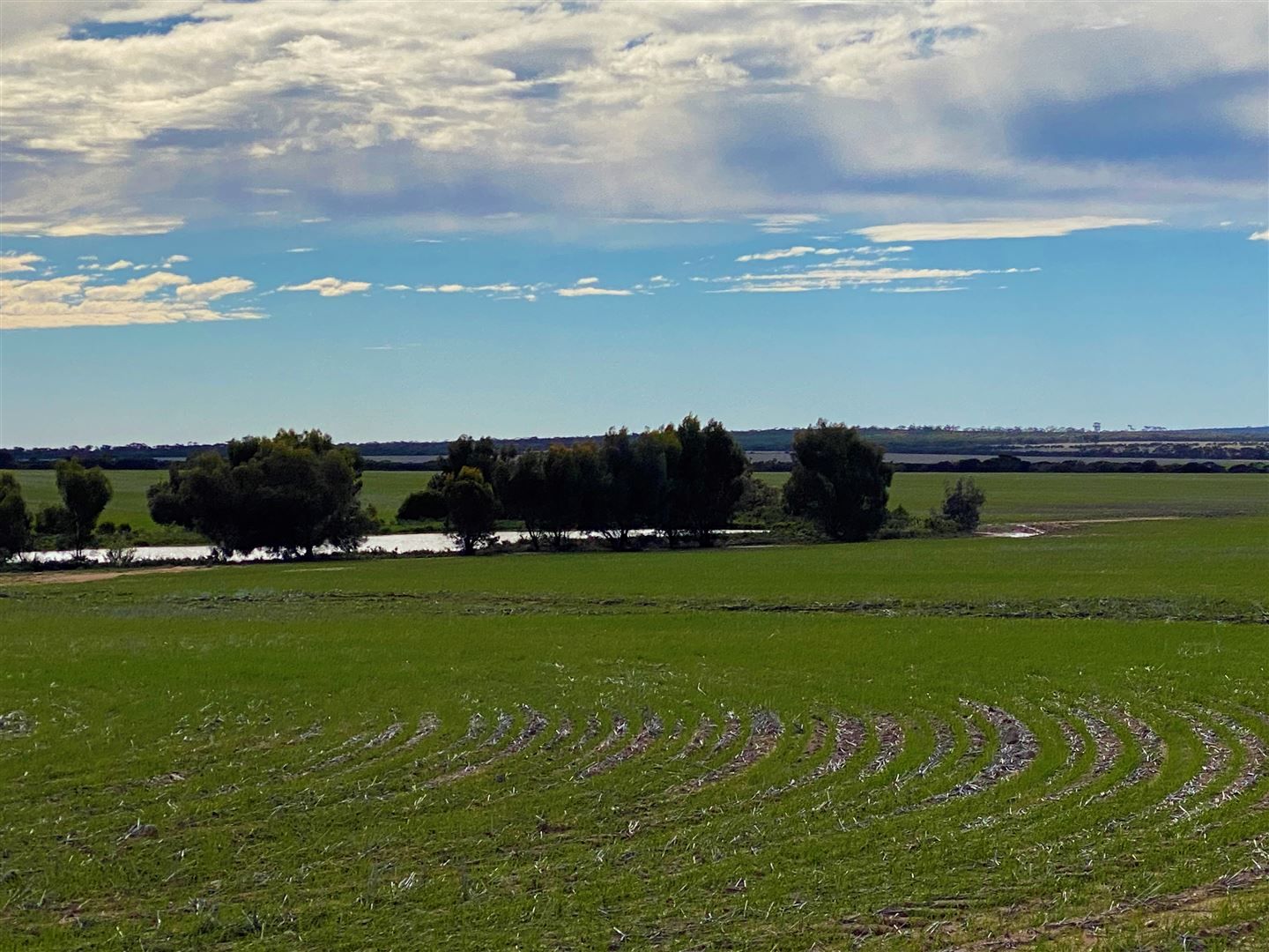 . 'Green Wood', Cleary WA 6472, Image 0