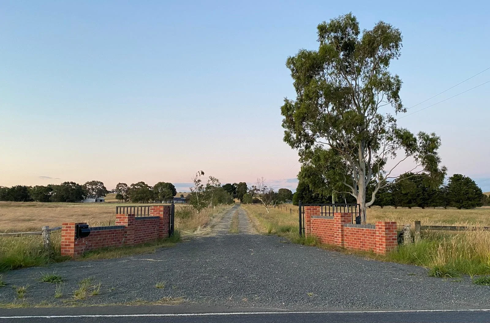Image 13