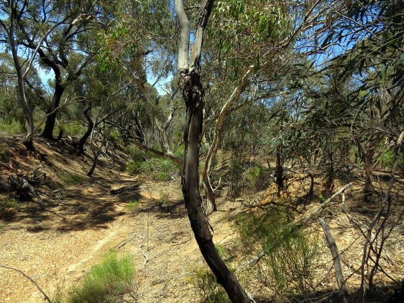 Image 25