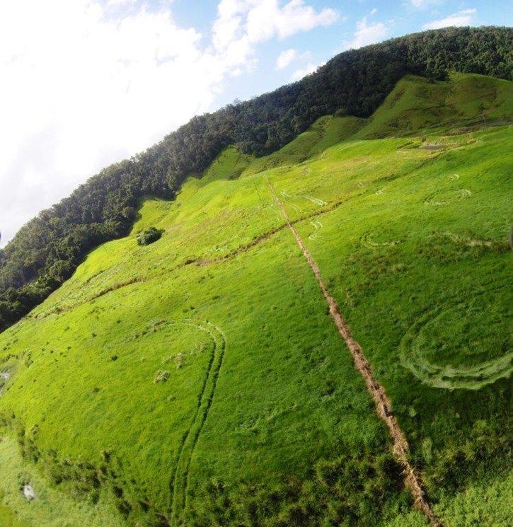 Lot  2 Stewart Creek Road (Stewart Creek Valley), Lower Daintree QLD 4873, Image 2