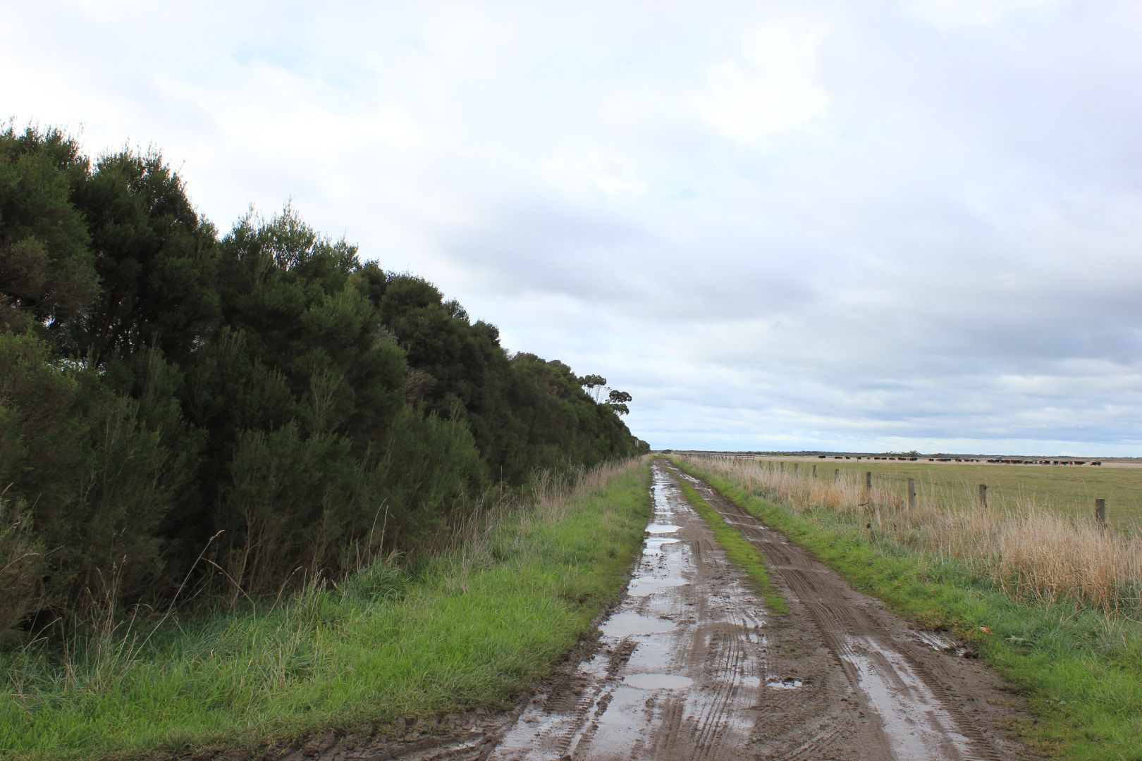 Old Manns Beach Road, Hunterston VIC 3971, Image 2