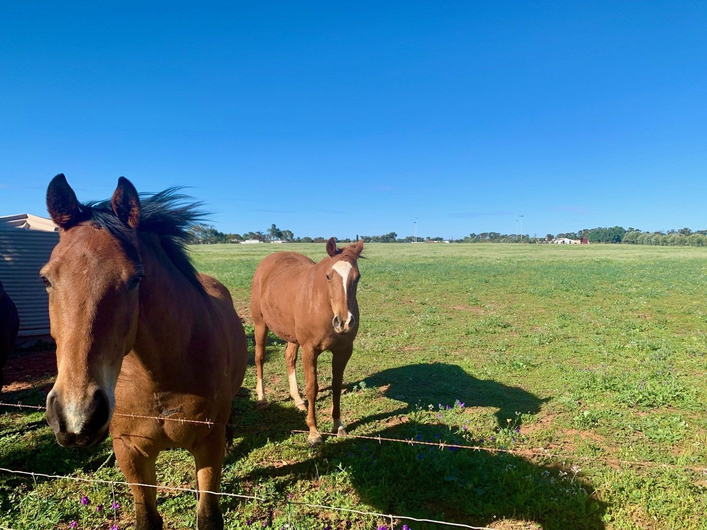 Lot 14 Horwood Road, Woorree WA 6530, Image 0