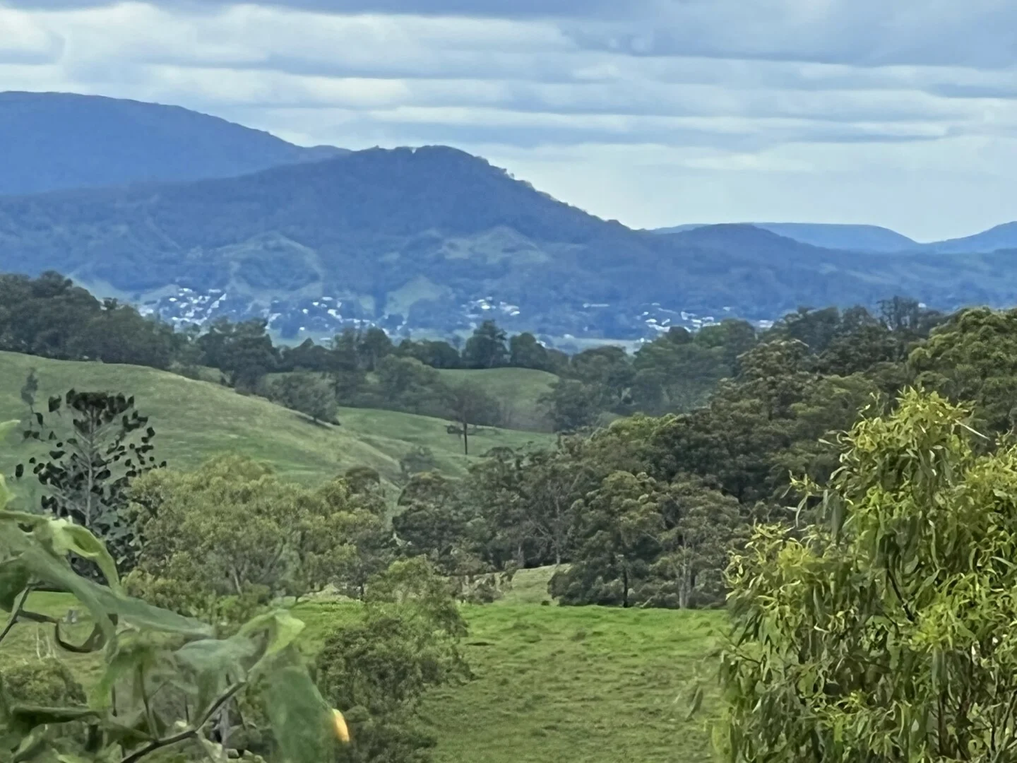 Image 8