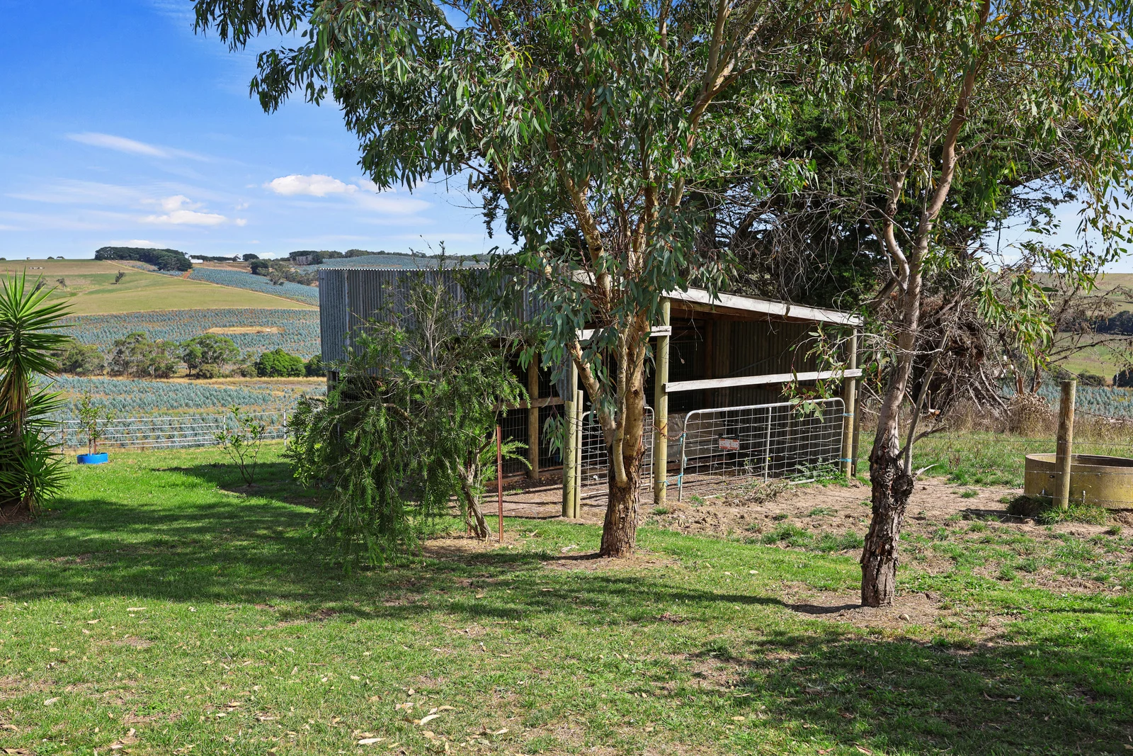 Additional image 17 of 900 Williams Road, Scotts Creek VIC 3267