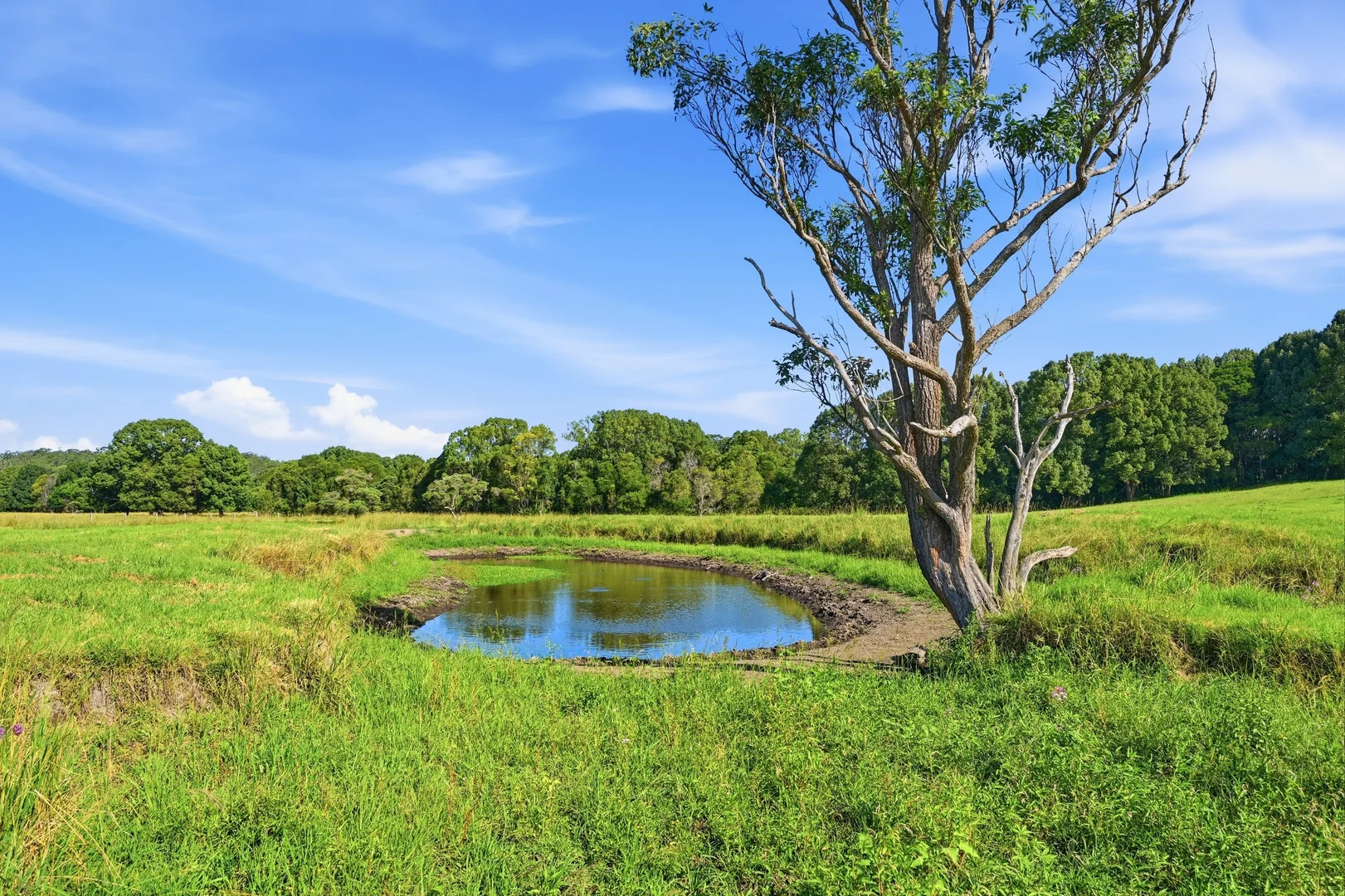 Additional image 29 of 2b Araluen Street, Kendall NSW 2439