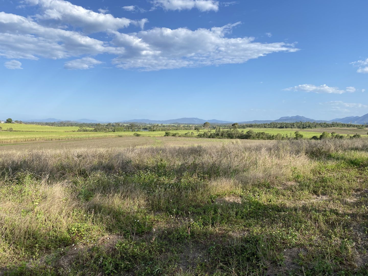 Lot 21 241 Wintons Road, Yalboroo QLD 4741, Image 1