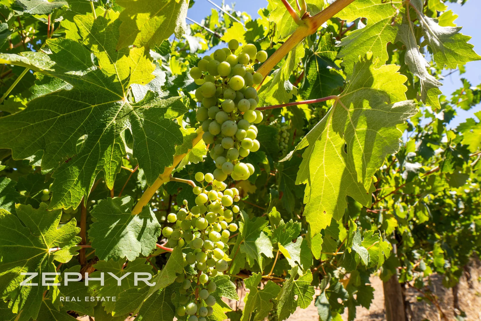 Additional image 34 of 11 The Dress Circle, Henty WA 6236