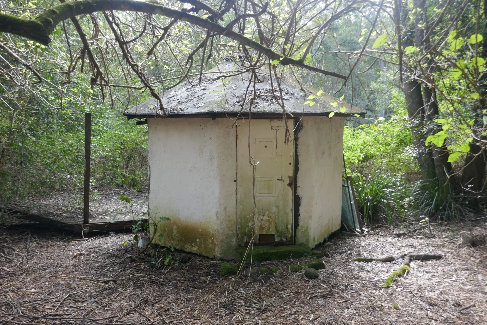 Image 22