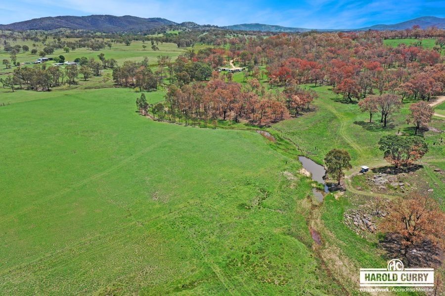 187 Roos Road, Tenterfield NSW 2372, Image 0