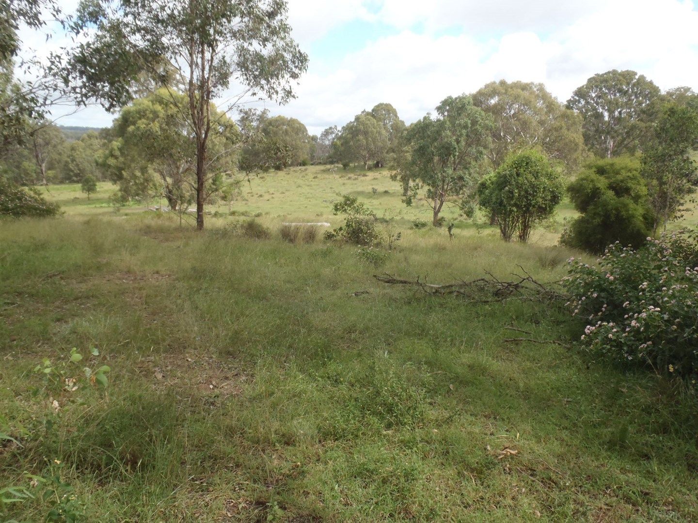 Lot 532 McCafferty Road, Merritts Creek QLD 4352, Image 0