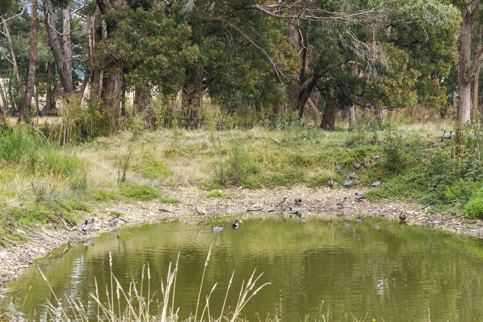 Additional image 17 of 15 West Street, Trentham VIC 3458