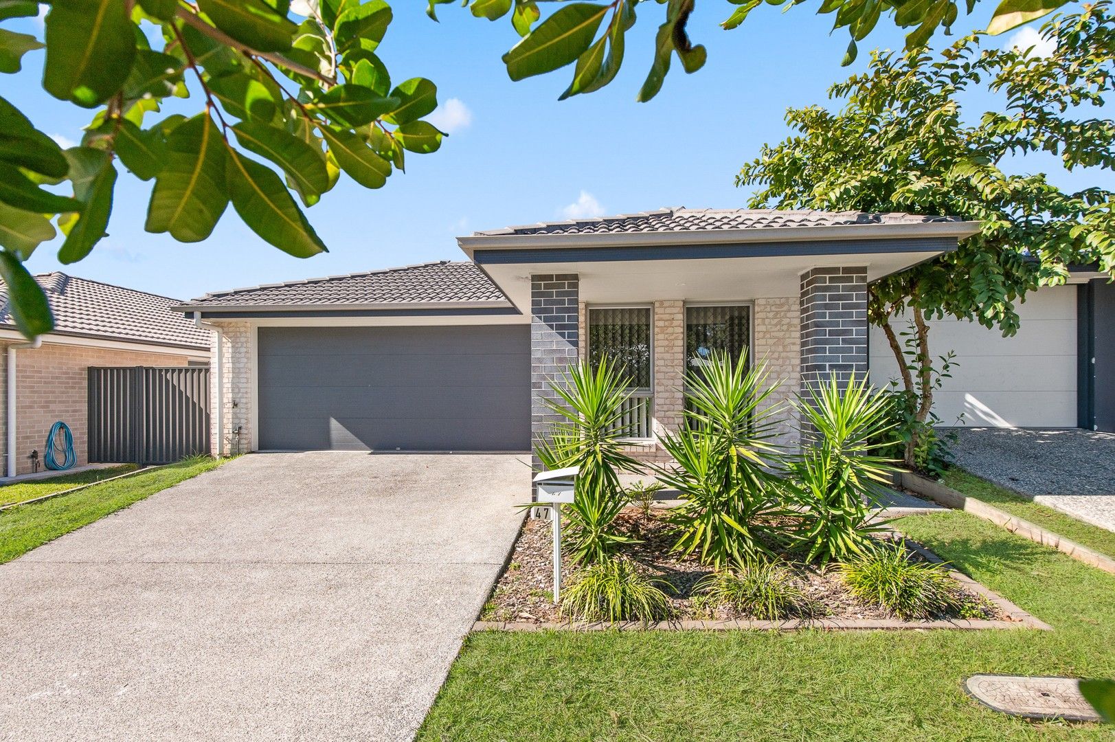 47 Orb St, Yarrabilba QLD 4207, Image 0