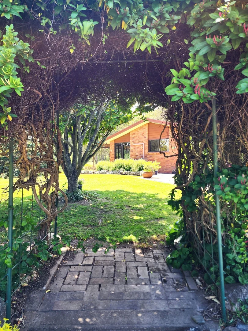 Image 20