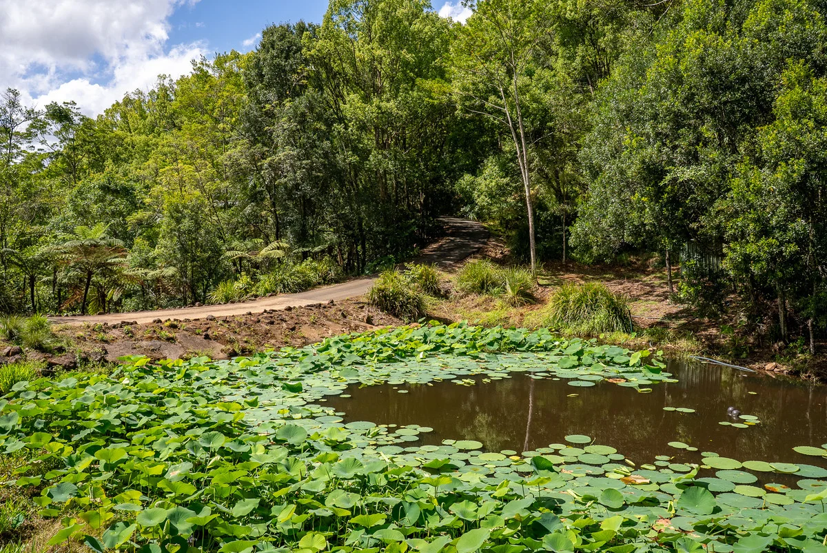 Additional image 30 of 50 Possum Creek Road, Bangalow NSW 2479