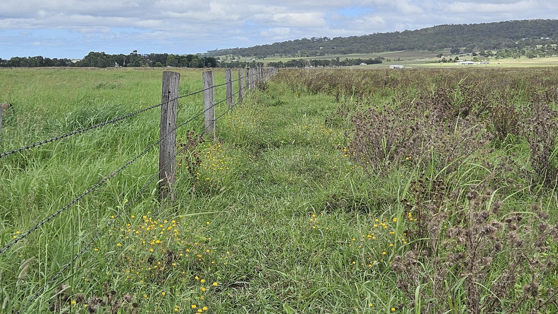 Lot 144 Murphys Road, Swan Creek QLD 4370 Domain