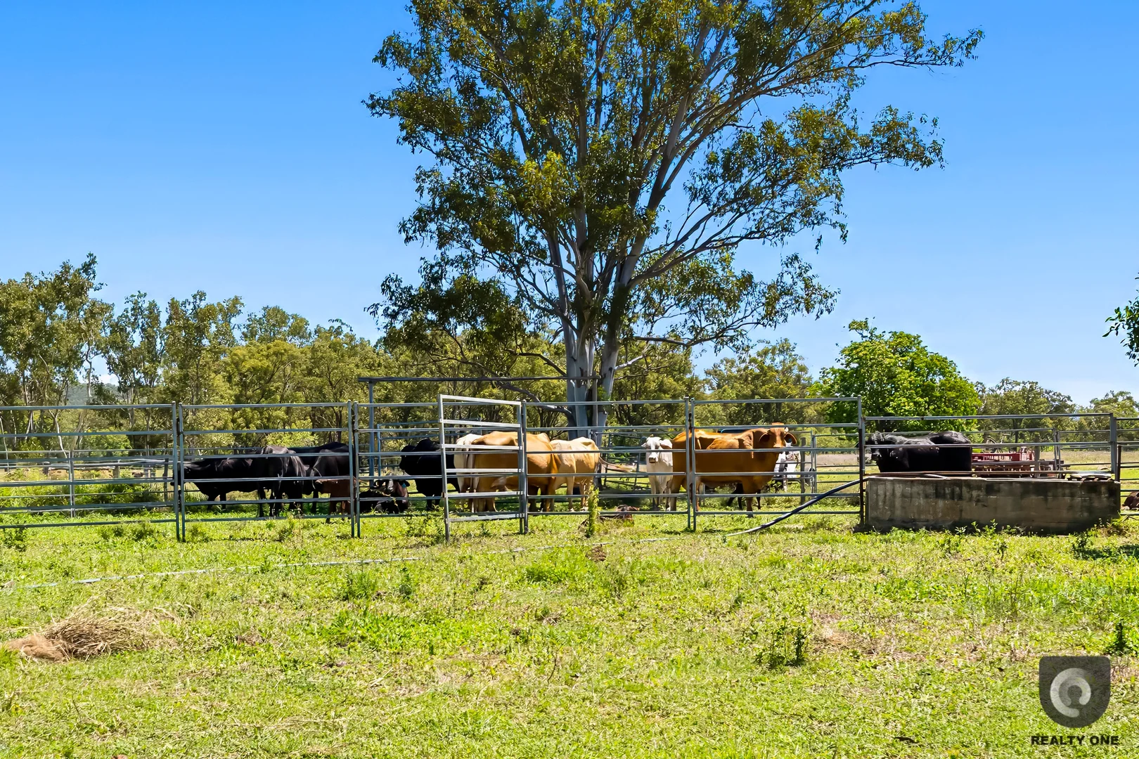 Additional image 20 of 197 Brickworks Road, Bushley QLD 4702