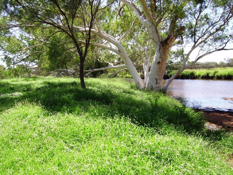 Mooloo Downs, MullewaCarnarvon Road, Gascoyne Junction WA 6705