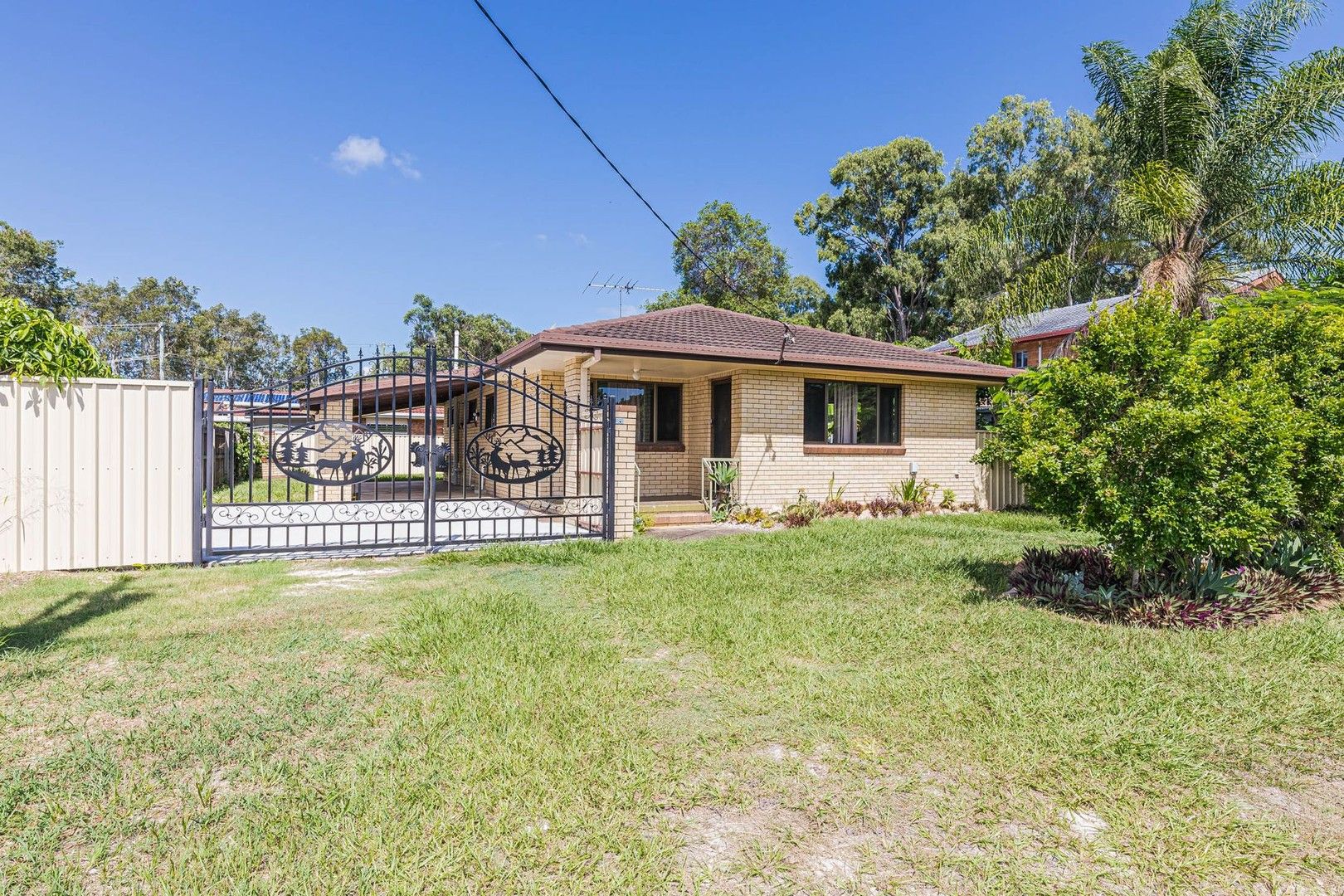 11 Verdoni Street, Bellara QLD 4507 - House For Rent | Domain