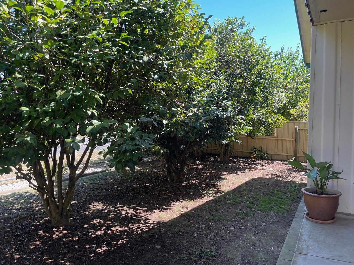 3 bedrooms House in 8 Conifer Street MYRTLEFORD VIC, 3737