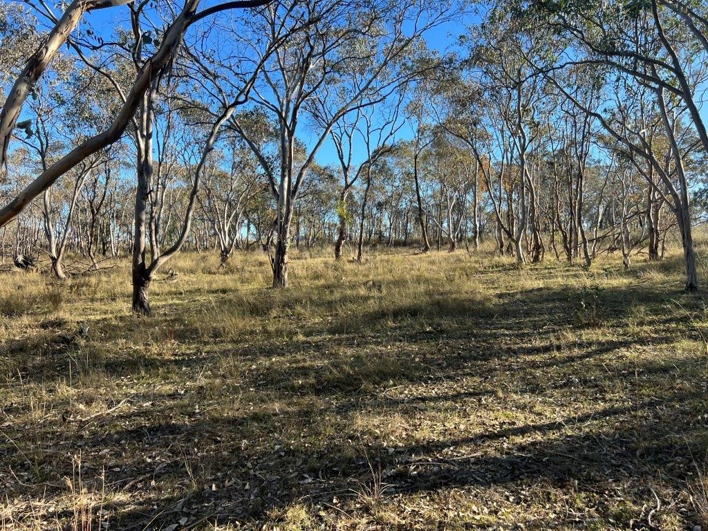 30 Carinya Estate Caringa Road, Godfreys Creek NSW 2586, Image 0