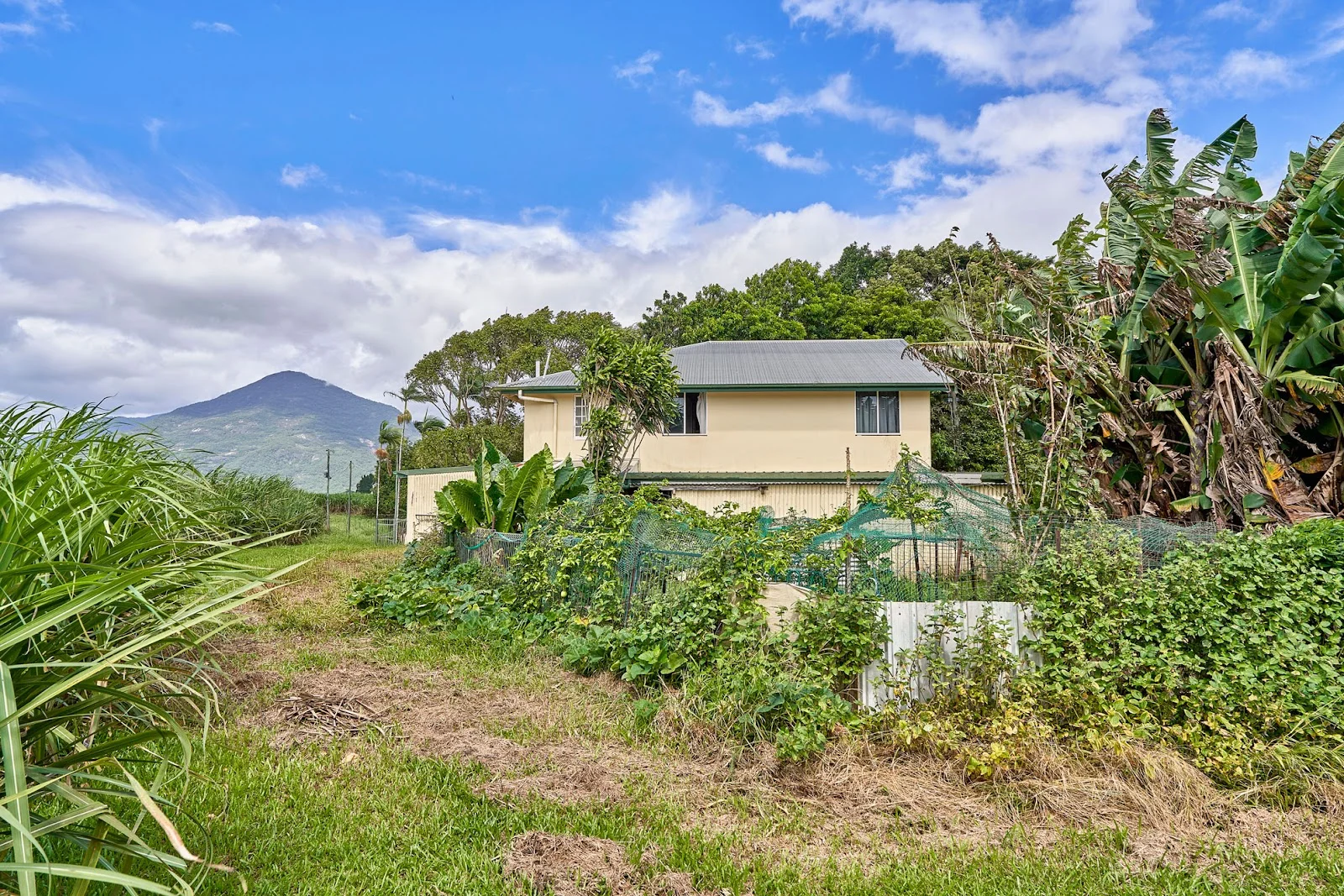 Additional image 7 of 229 Russell Road, Gordonvale QLD 4865