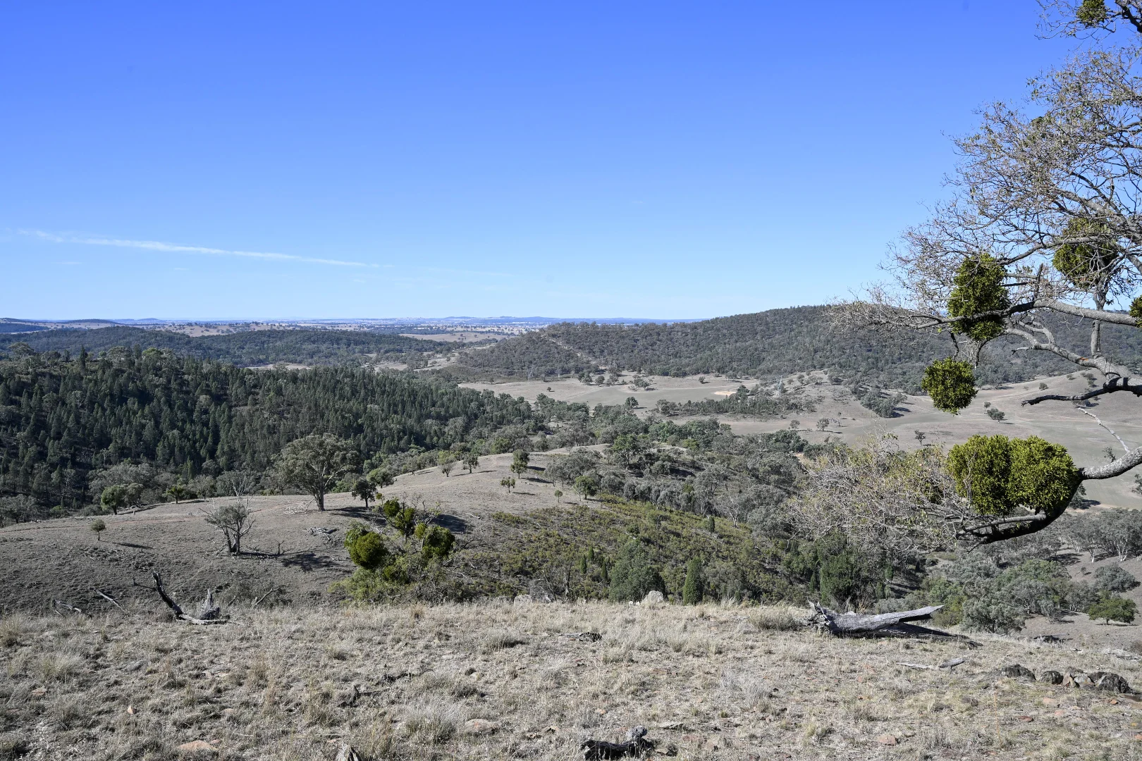 Additional image 4 of Gulgong NSW 2852