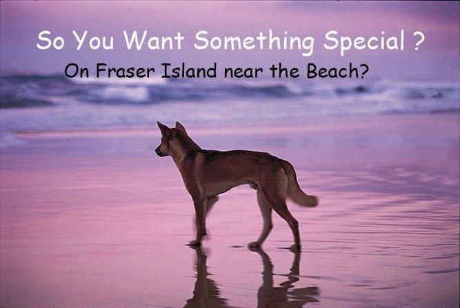 Fraser Island QLD 4581, Image 0