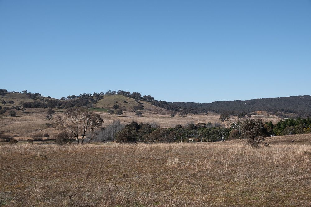 Sutton NSW 2620, Image 1