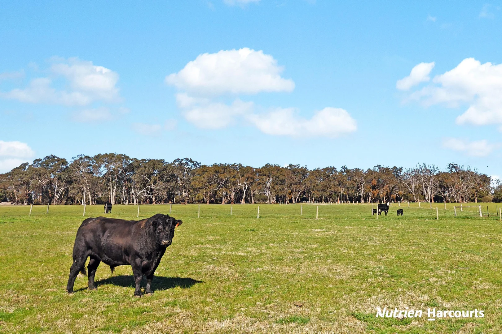 Additional image 25 of 230 Old Sale Road, Yarram VIC 3971