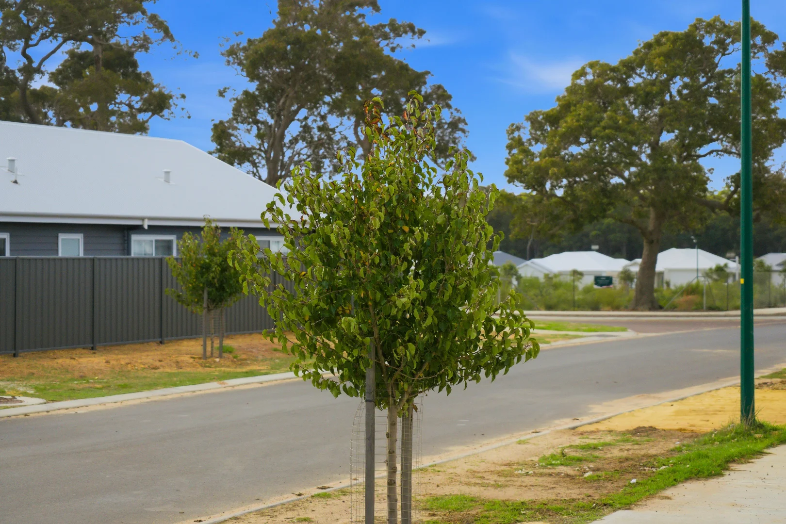 Additional image 9 of 147 Brookfield Avenue, Margaret River WA 6285