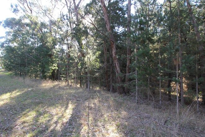 Picture of Lot 4 Glenelg Highway, SCARSDALE VIC 3351