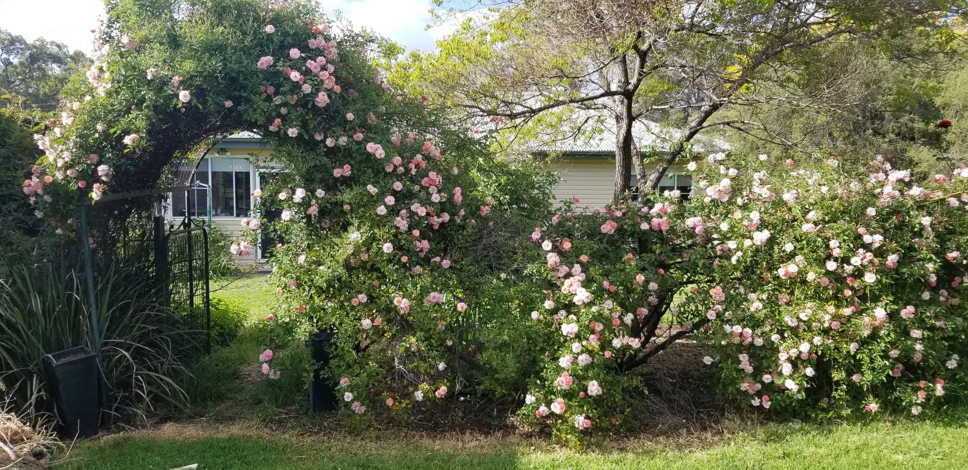 Primary image of 6918 Warrumbungles Way, Coonabarabran NSW 2357