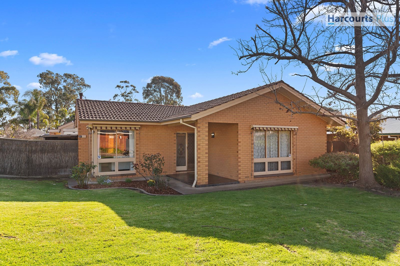 36 Mary Street, Happy Valley SA 5159, Image 2