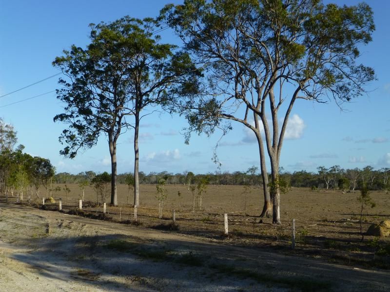 27469 BRUCE HIGHWAY, ISIS RIVER QLD 4660, Image 0
