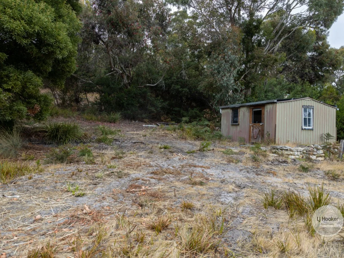 Image 13