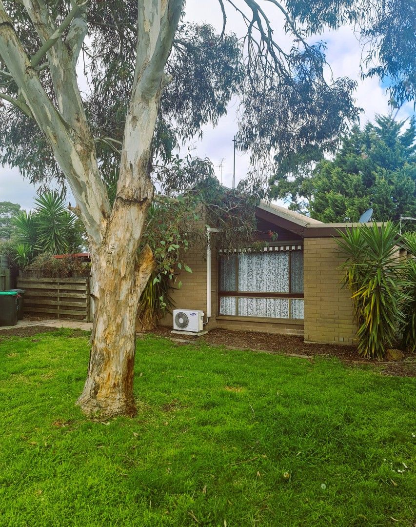 1 bedrooms Apartment / Unit / Flat in  TRARALGON VIC, 3844